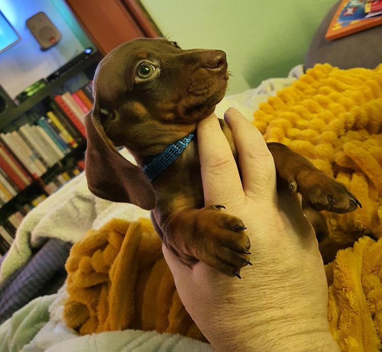 Pablo in der Hand